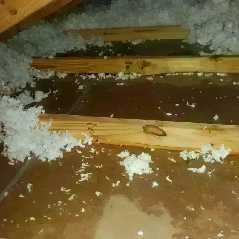 Attic Water Damage in Lake Isabella, CA