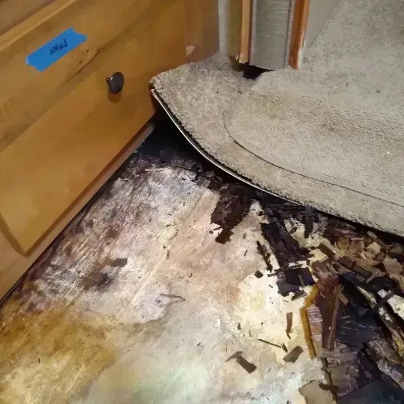 Wood Floor Water Damage in Lake Isabella, CA